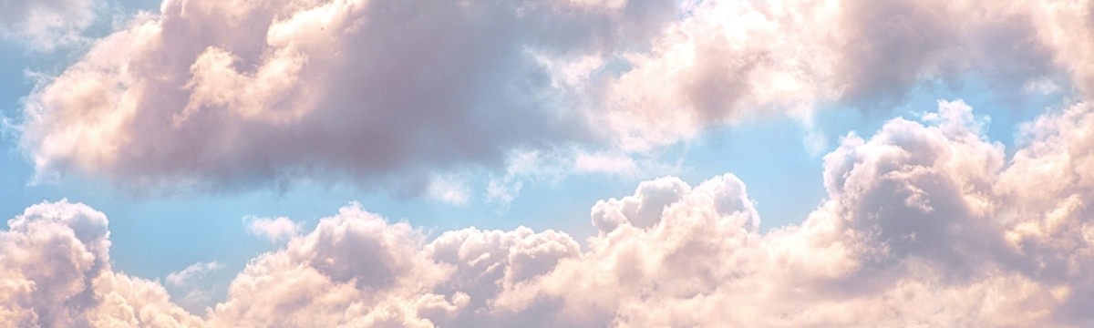 banner image