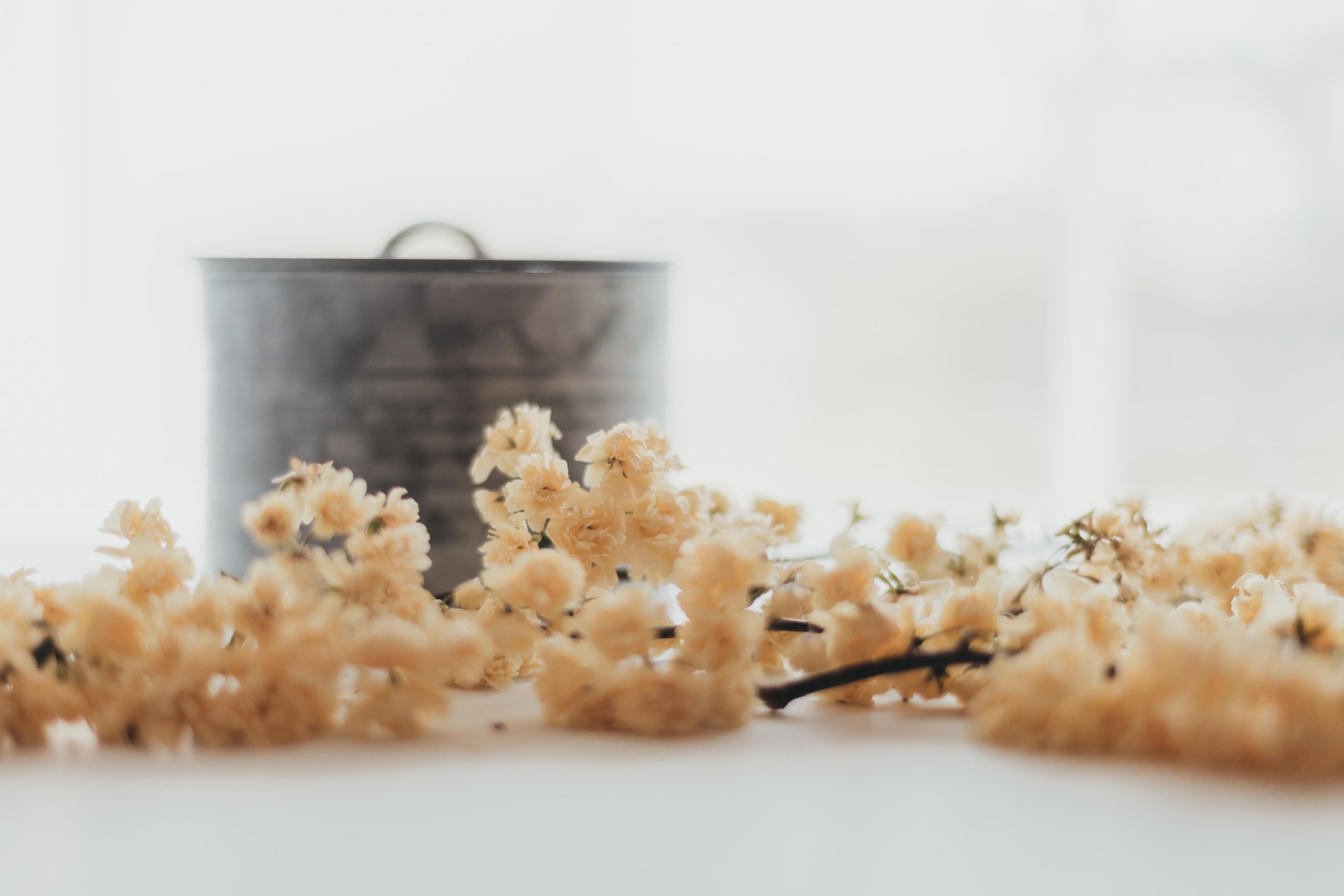 Trauma & EMDR Therapy in San Antonio